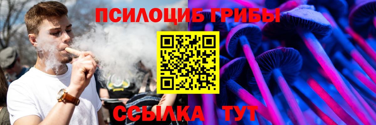 Галлюциногенные грибы прущие грибы  Вход с VPN  Орск 